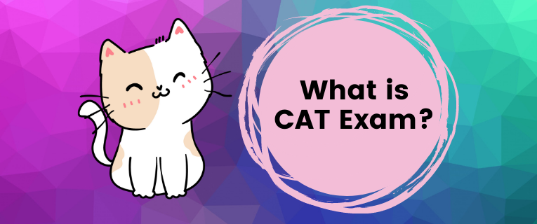 What is CAT Exam? Image